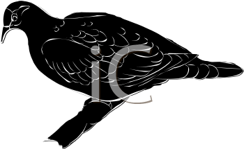 Bird Clipart