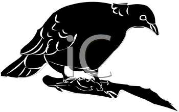 Bird Clipart