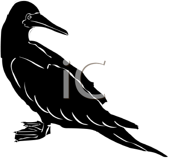 Bird Clipart