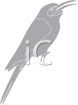 Bird Clipart