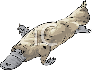 Mammal Clipart