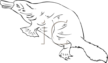 Mammal Clipart