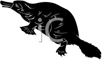 Mammal Clipart