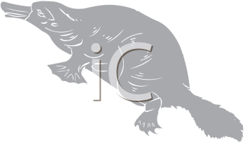 Mammal Clipart