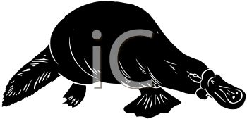 Aquatic Animals Clipart