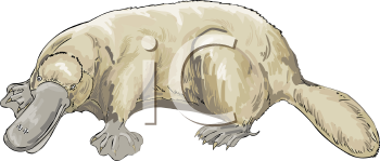 Mammal Clipart