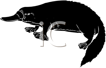 Mammal Clipart