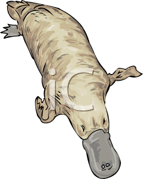 Mammal Clipart