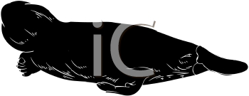 Mammal Clipart