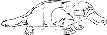 Mammal Clipart