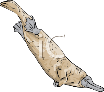 Mammal Clipart