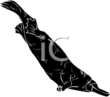 Mammal Clipart