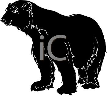 Bear Clipart