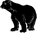 Bear Clipart