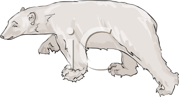 Bear Clipart