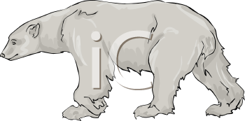 Bear Clipart