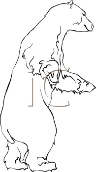 Bear Clipart