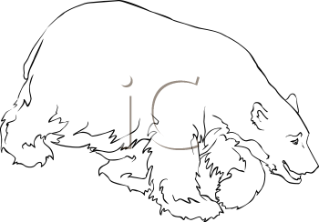 Bear Clipart