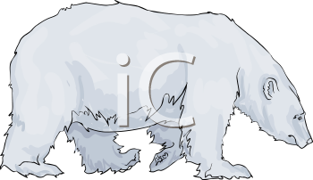 Bear Clipart