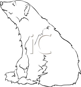 Bear Clipart