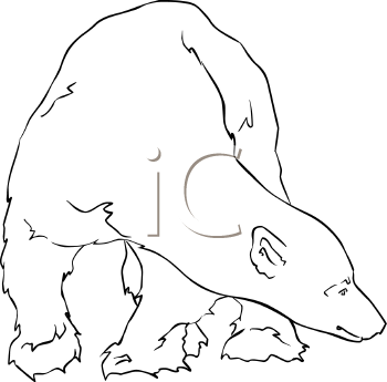 Bear Clipart