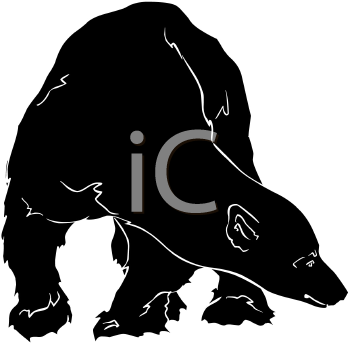 Bear Clipart