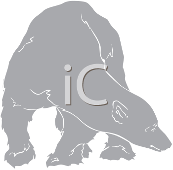 Bear Clipart