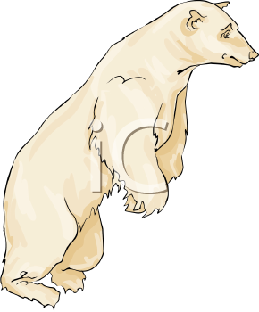 Bear Clipart