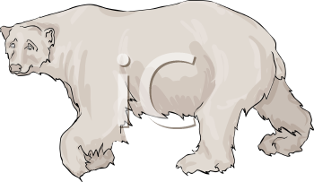 Bear Clipart