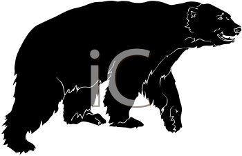 Bear Clipart