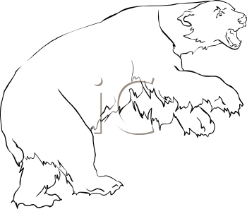 Bear Clipart