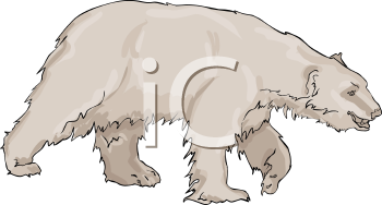 Bear Clipart