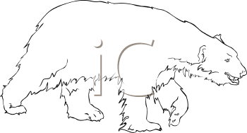 Bear Clipart