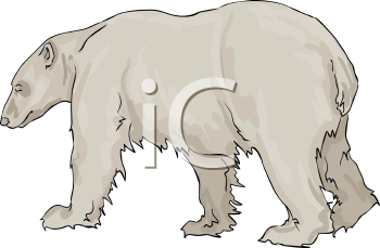 Bear Clipart