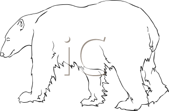 Bear Clipart