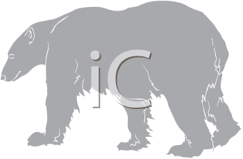 Bear Clipart