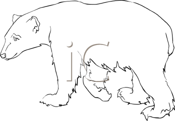 Bear Clipart