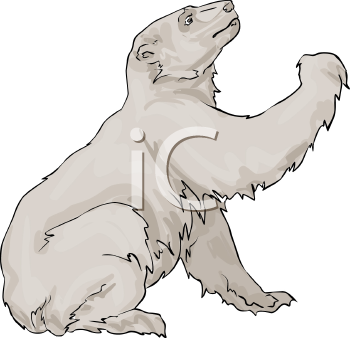 Bear Clipart