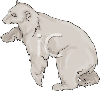 Bear Clipart