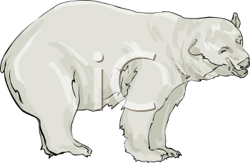 Bear Clipart