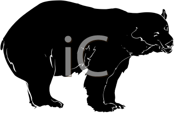 Bear Clipart