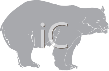 Bear Clipart