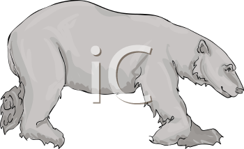 Bear Clipart