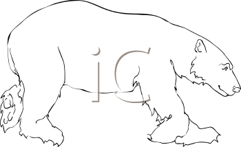 Bear Clipart