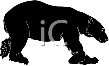 Bear Clipart