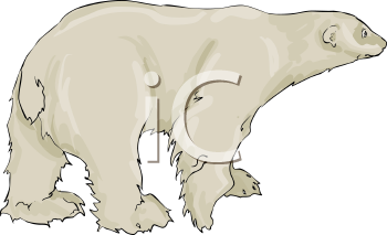 Bear Clipart