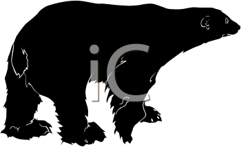 Bear Clipart