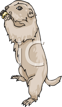 Pet Clipart