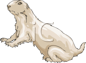 Pet Clipart