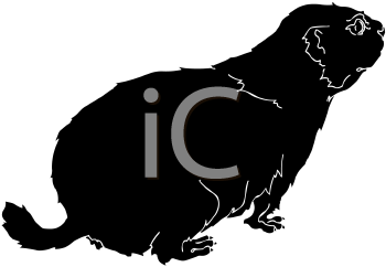 Pet Clipart